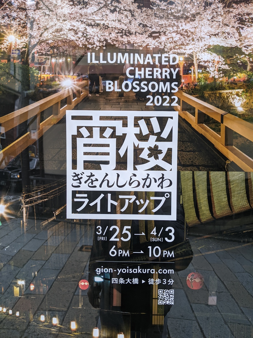 【夜桜さんぽ】祇園&円山公園の桜ライトアップを見に行こう🌸