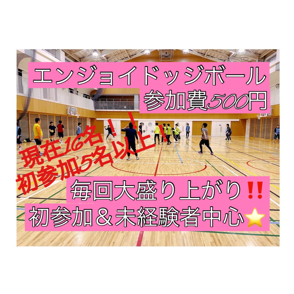 【現在16名(初参加7名)】ドッジボール⭐️初参加&未経験者中心⭐️遅刻OK! 【友達作り&運動不足解消しよう!】