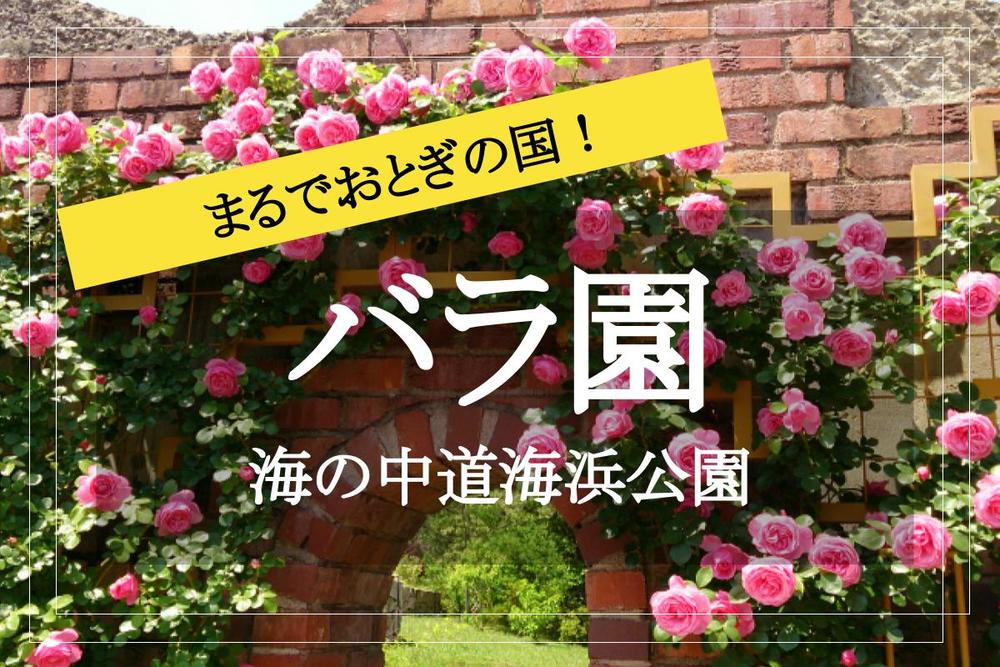 この日は入園無料!【海の中道海浜公園×花道ウォーク】最高にかわいい♡ バラの咲き誇る園内を歩こう!