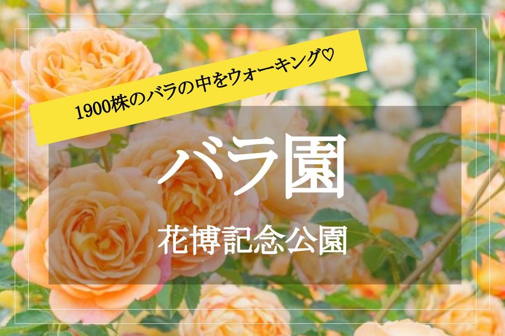 【バラ園ウォーク✕花博記念公園】今が見頃! 美しいバラ園を歩こう♡