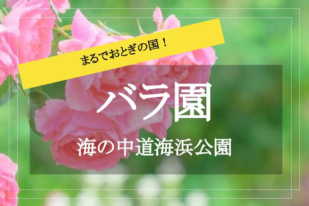 【海の中道海浜公園×花道ウォーク】最高にかわいい♡ バラの咲き誇る園内を歩こう!