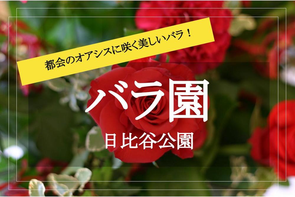 【薔薇ウォーク✕日比谷公園】都会のオアシス!日比谷公園に咲くバラを見に行こう♡
