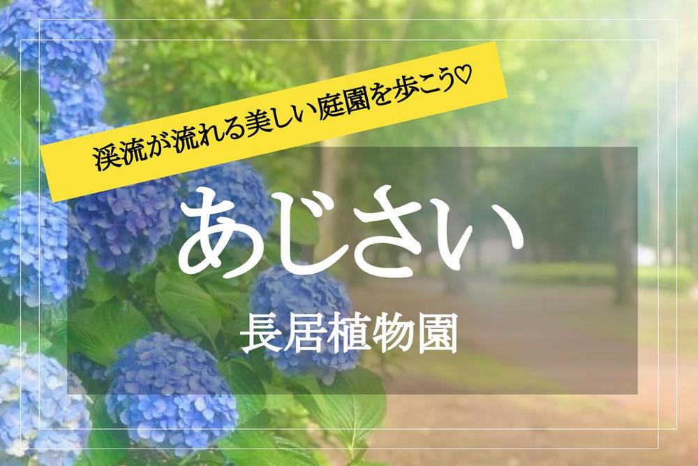 【あじさい✕長居植物園】大阪市最大級のあじさい園！ あじさいが囲む道をのんびりウォークしよう〜♡