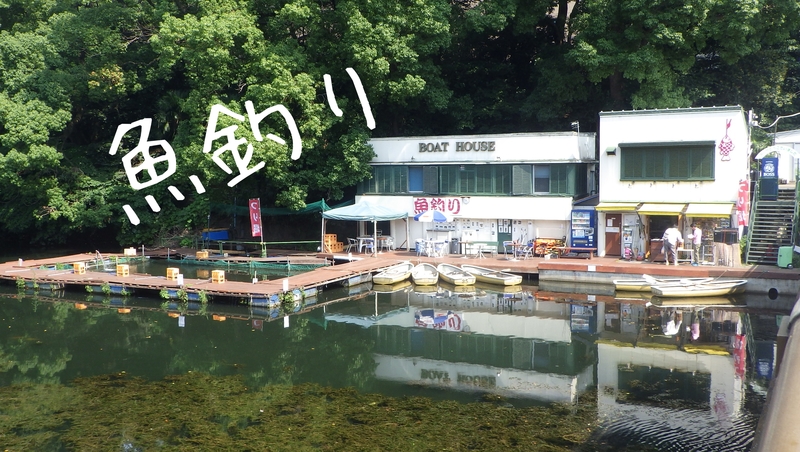  都会の真ん中で魚を釣ろう! in弁慶フィッシングクラブ