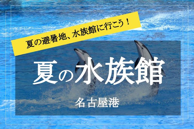【名古屋港×水族館】避暑地の定番水族館に行きましょう！