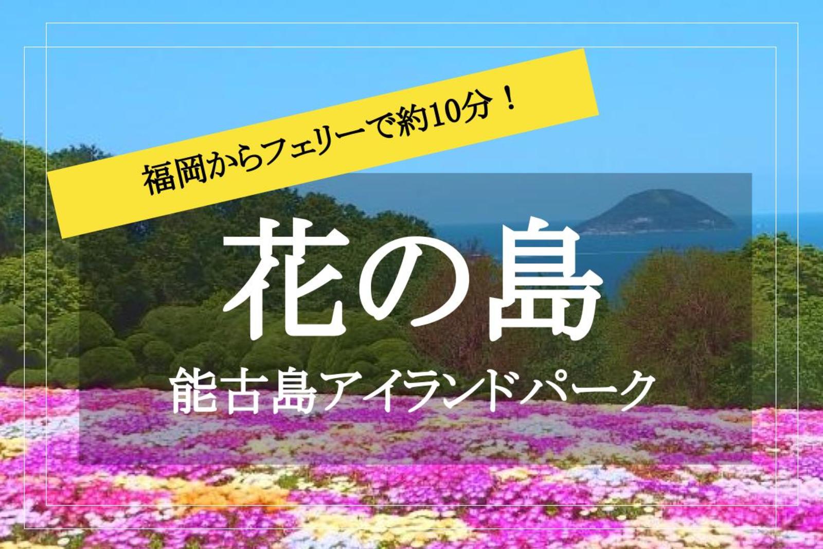 【花の都・能古島へ行こう！】福岡からフェリーで約10分！アクセス抜群の離島へ行こう！