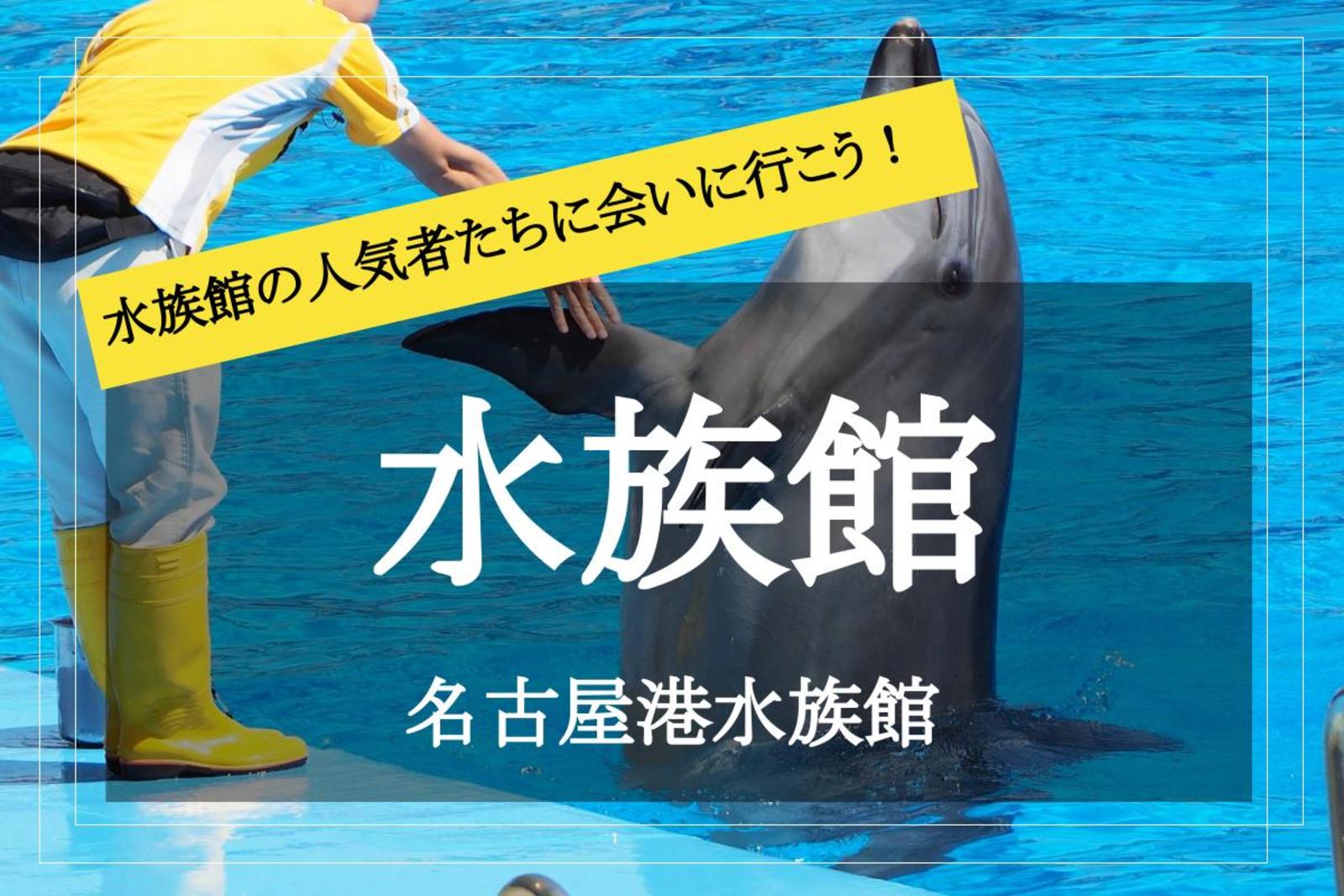 【名古屋港水族館】見どころ満載！名古屋の人気水族館に行きましょう！