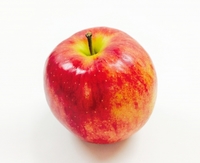 【初心者大歓迎😊】　ご指導のもと、アクリル絵の具でりんごを描いてみよう〜！