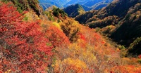 【両神山】紅葉登山企画❕圧巻の景色をみんなで楽しもう！