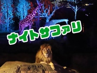 ナイトサファリ！！【in 天王寺動物園♪】 パート2☆