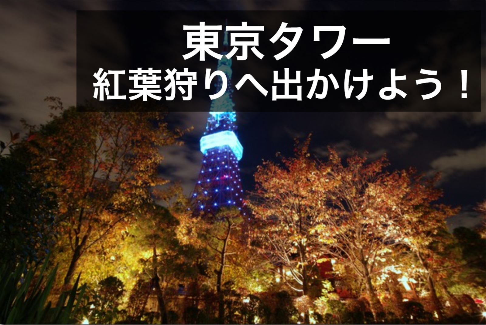 【東京タワー×ナイトウォーク】綺麗な紅葉をみながら、心も体もリフレッシュ！