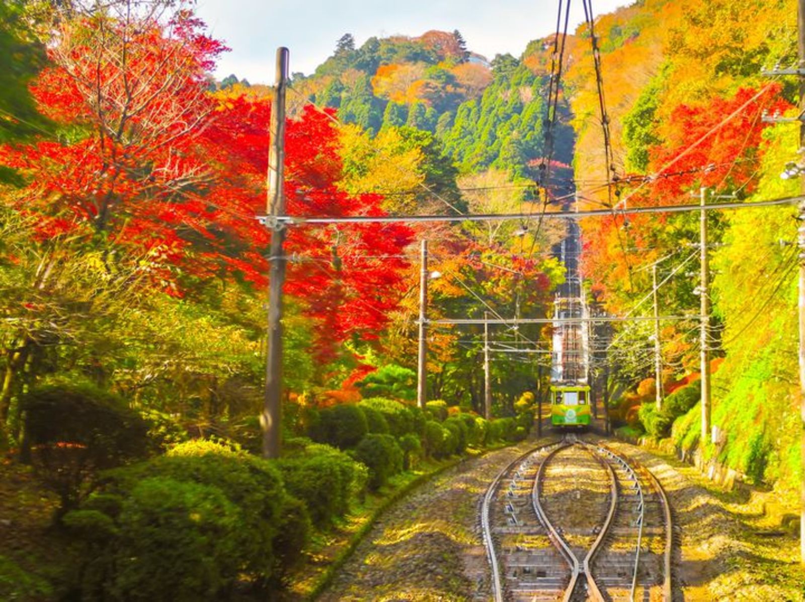 高尾山×紅葉！秋を感じに緩く登山