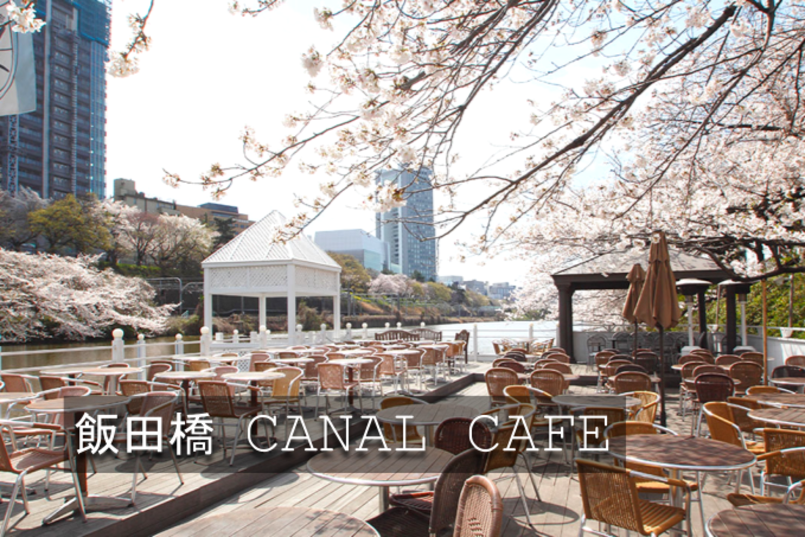 ゆるカフェ｜お濠の桜（あれば）を見ながらカフェ／ランチを楽しもう♪