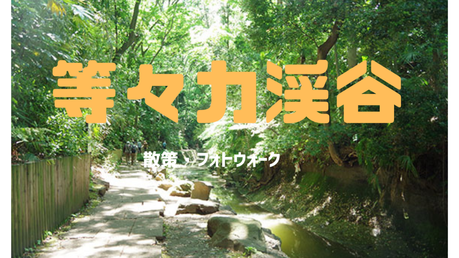 【ソロ参加歓迎】東京唯一の渓谷をみんなで散策して堪能しよう！【等々力渓谷】